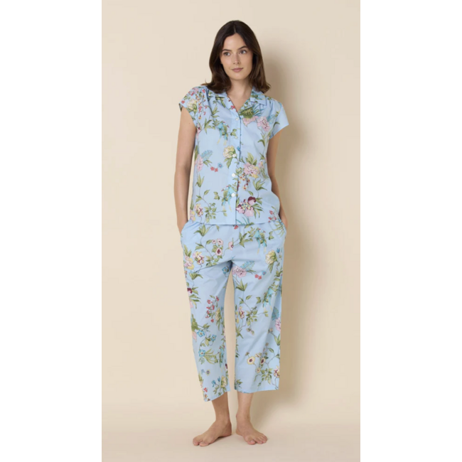 THE CAT'S PAJAMAS PERCH AND BLOOM LUXE PIMA CAPRI 225-795