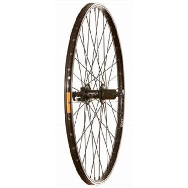 Wheels - Pedalhead Bicycle Works/Ski Works