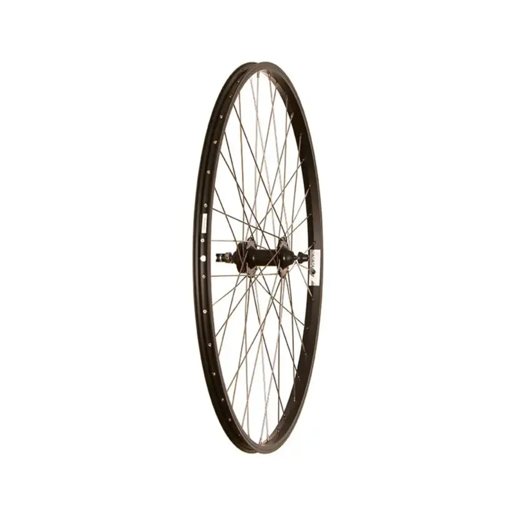 Wheel Shop WHEEL SHOP - 29" FRONT QR - 6-BOLT / RIM - ALEXZ100 - 36H