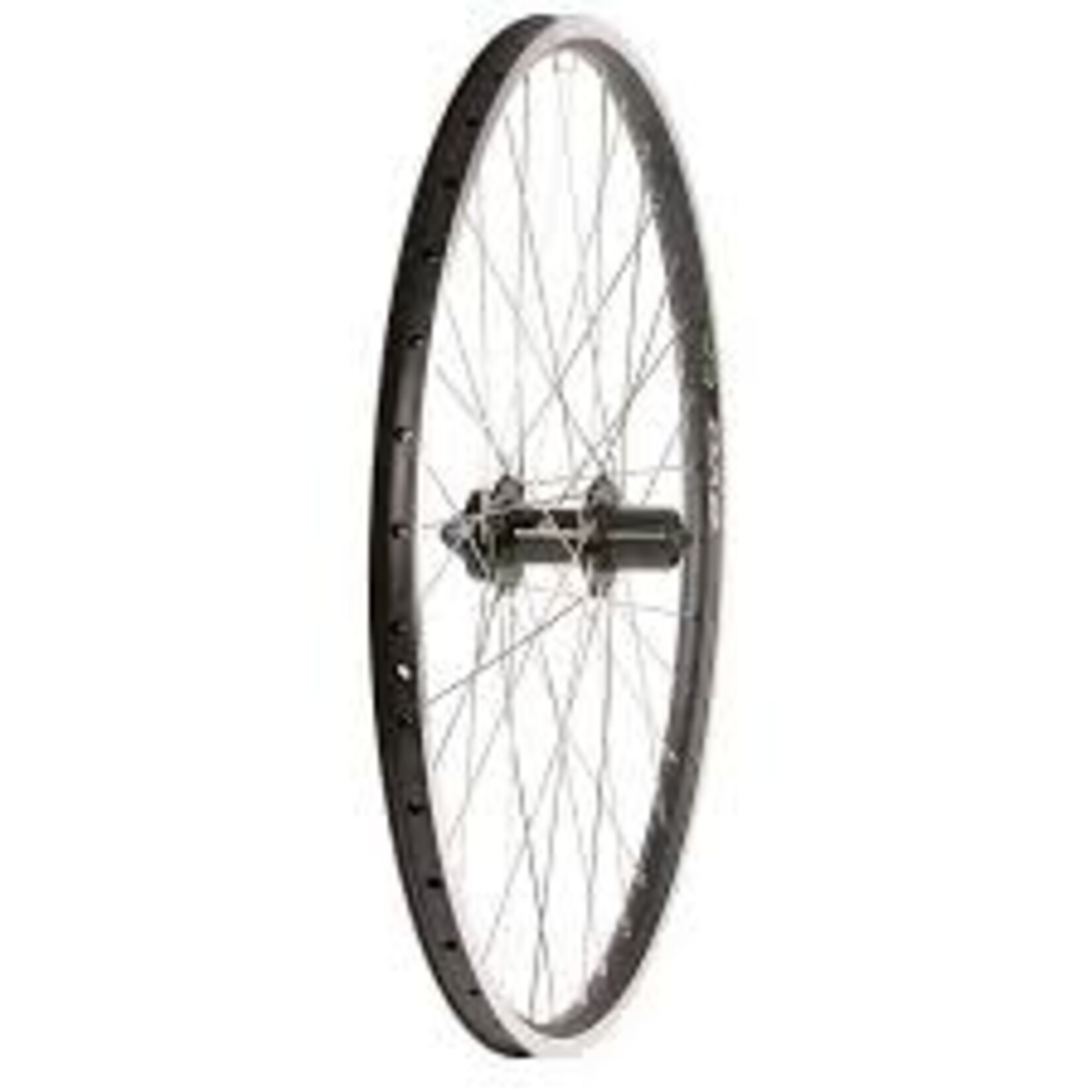 Wheel Shop Wheel Shop, Evo Tour 19 Black/ Formula DC-22, Wheel, Rear, 26'' / 559, Holes: 36, QR, 135mm, Rim and Disc IS 6-bolt, Shimano HG