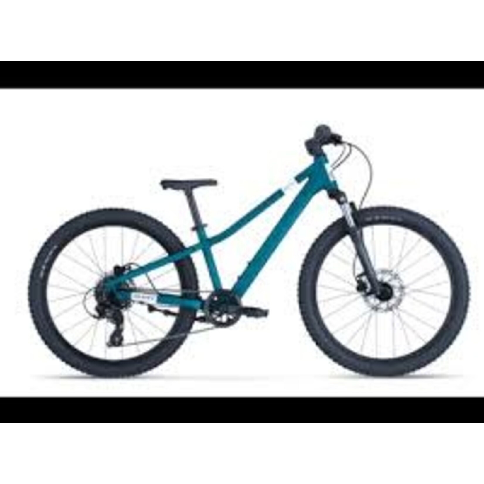 SCOTT SCOTT ROXTER 24