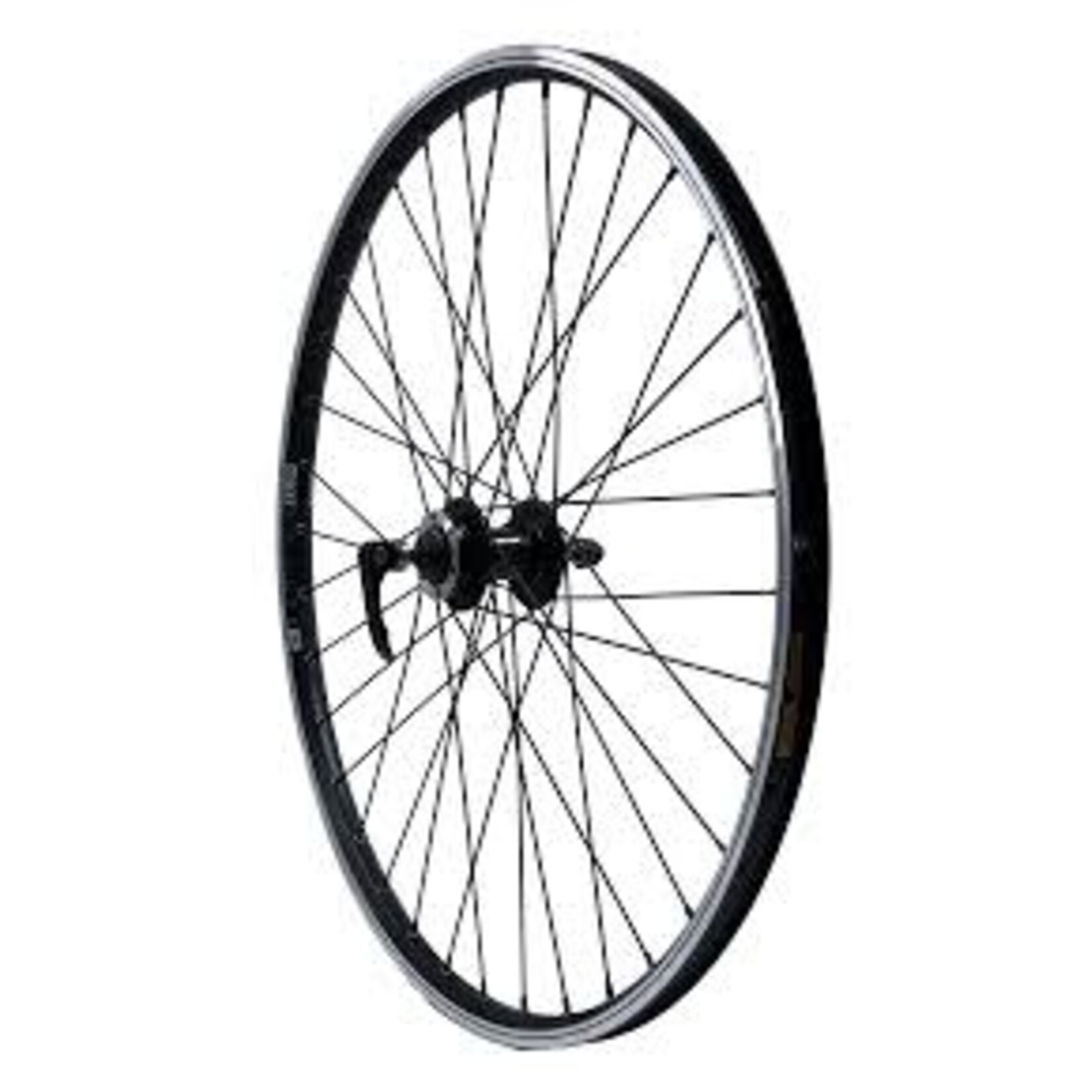 Wheel Shop Wheel Shop, WTB DX18, Wheel, Front, 26'' / 559, Holes: 36, QR, 100mm, Rim and Disc IS 6-bolt