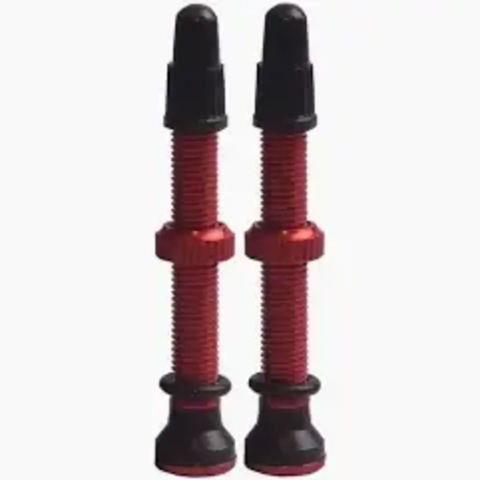 EVO EVO TUBELESS VALVES