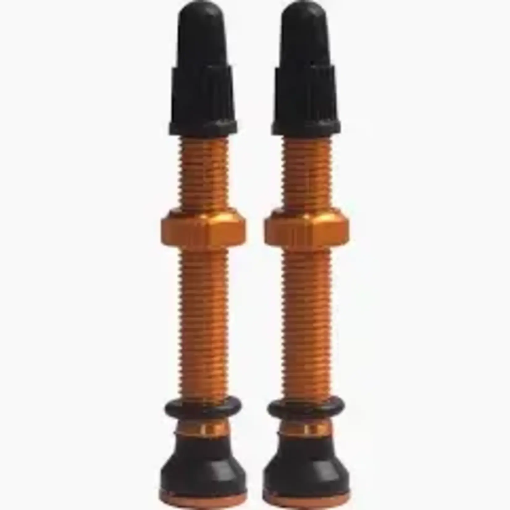 EVO EVO TUBELESS VALVES