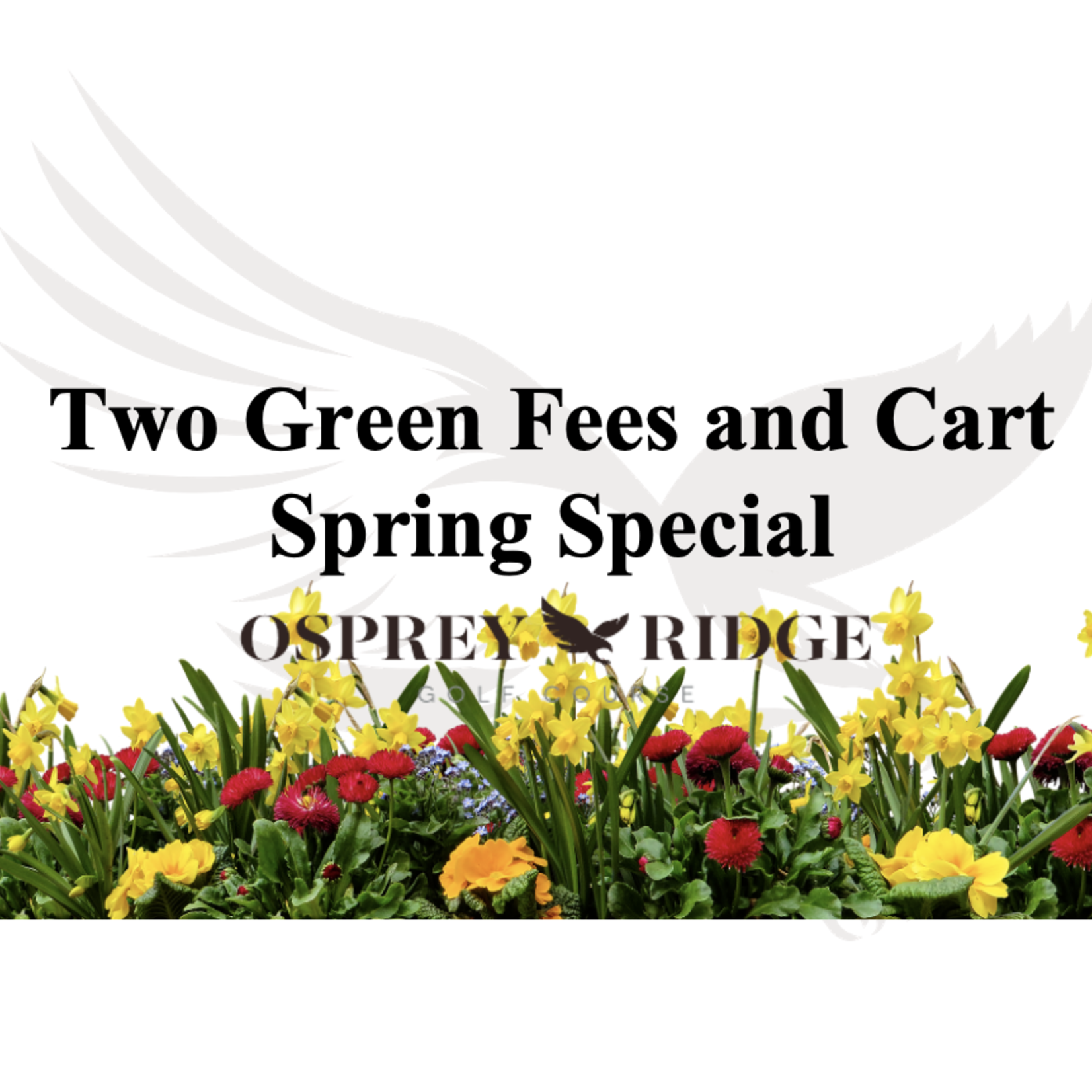 Two Green Fees and Cart  Special