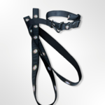 Cape Cod Belt Co. Dog Leash