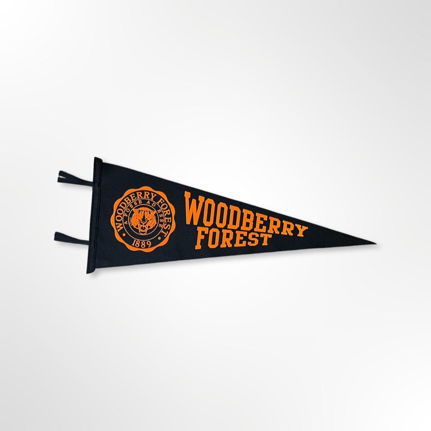 Collegiate Pacific Banners Pennant