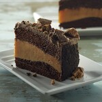 Devonshire Bakery CAKE, LAYER 2 CHOCOLATE PEANUT BUTTER ICED 9" 12 SLICED TRAY