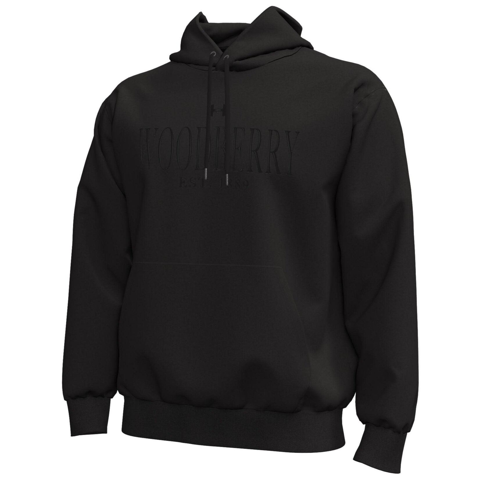 Under Armour Under Armour Icon Fleece Hoodie Black