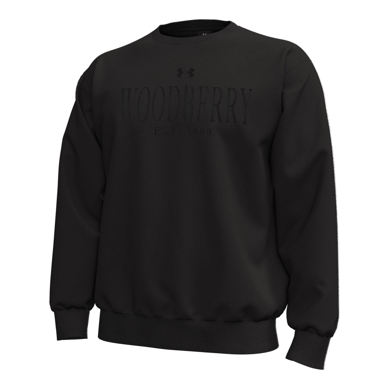 Under Armour Under Armour Icon Fleece Crew Black