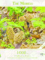 MI Puzzles puz 1022 the morels puzzle