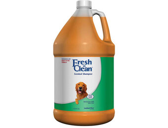 Fresh,n Clean Scented Shampoo Fresh Clean Scent 1 Gallon 5668