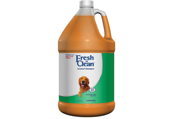 Fresh,n Clean Scented Shampoo Fresh Clean Scent 1 Gallon 5668