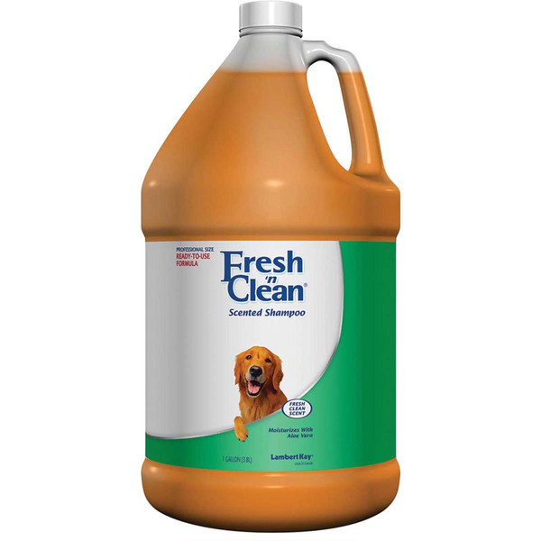 Fresh,n Clean Scented Shampoo Fresh Clean Scent 1 Gallon 5668