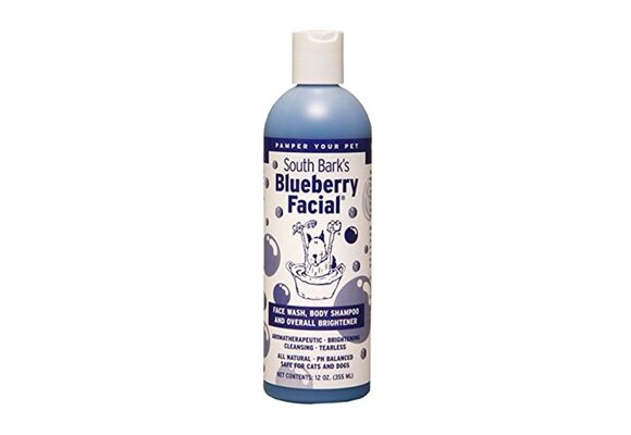 South Bark Blueberry Facial Shampoo 12 oz