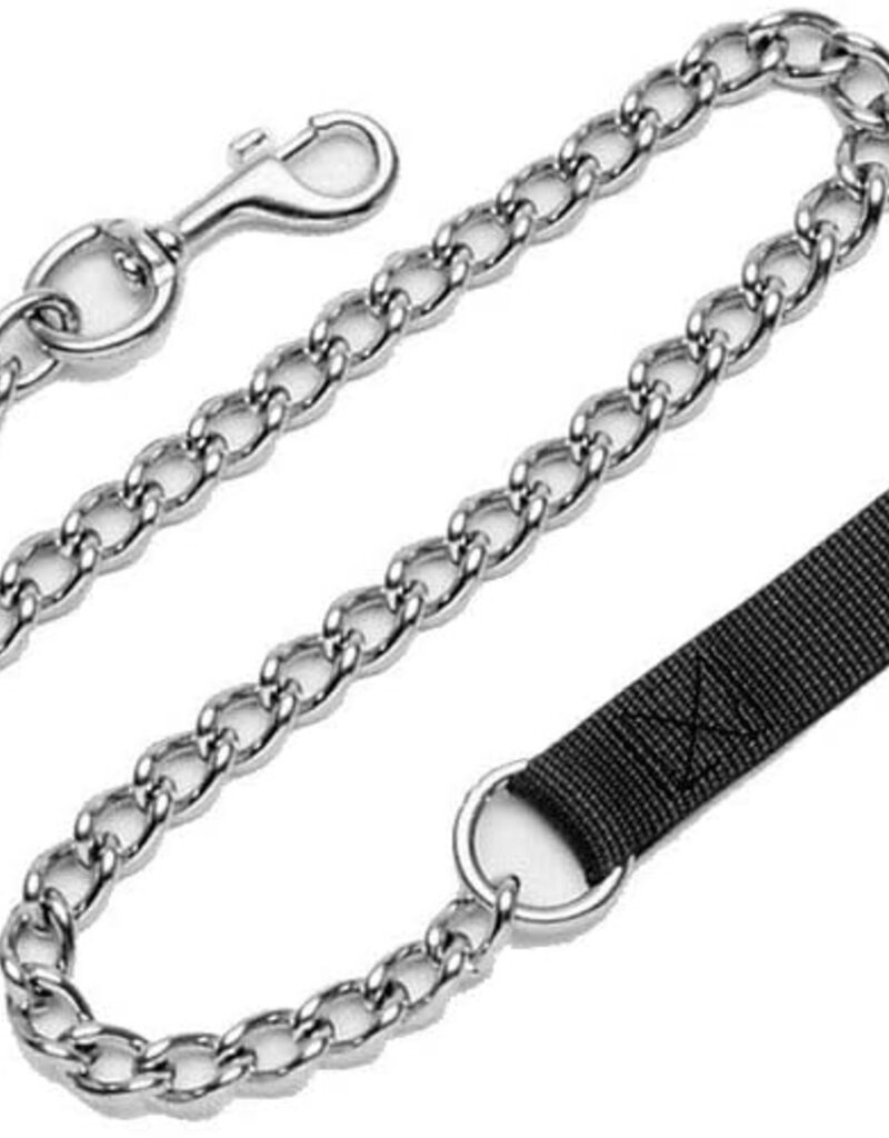 Coastal Pet Coastal Titan Chain Dog Leash with Nylon Handle 6 Ft 4.0 mm Link 05506