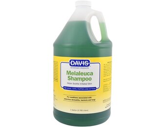 Davis Melaleuca Shampoo 1 Gallon