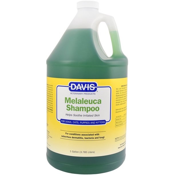 Davis Melaleuca Shampoo 1 Gallon