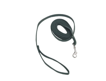 Coastal Pet Train Right Cotton Web Training Leash 20ft Green 5/8"  00520