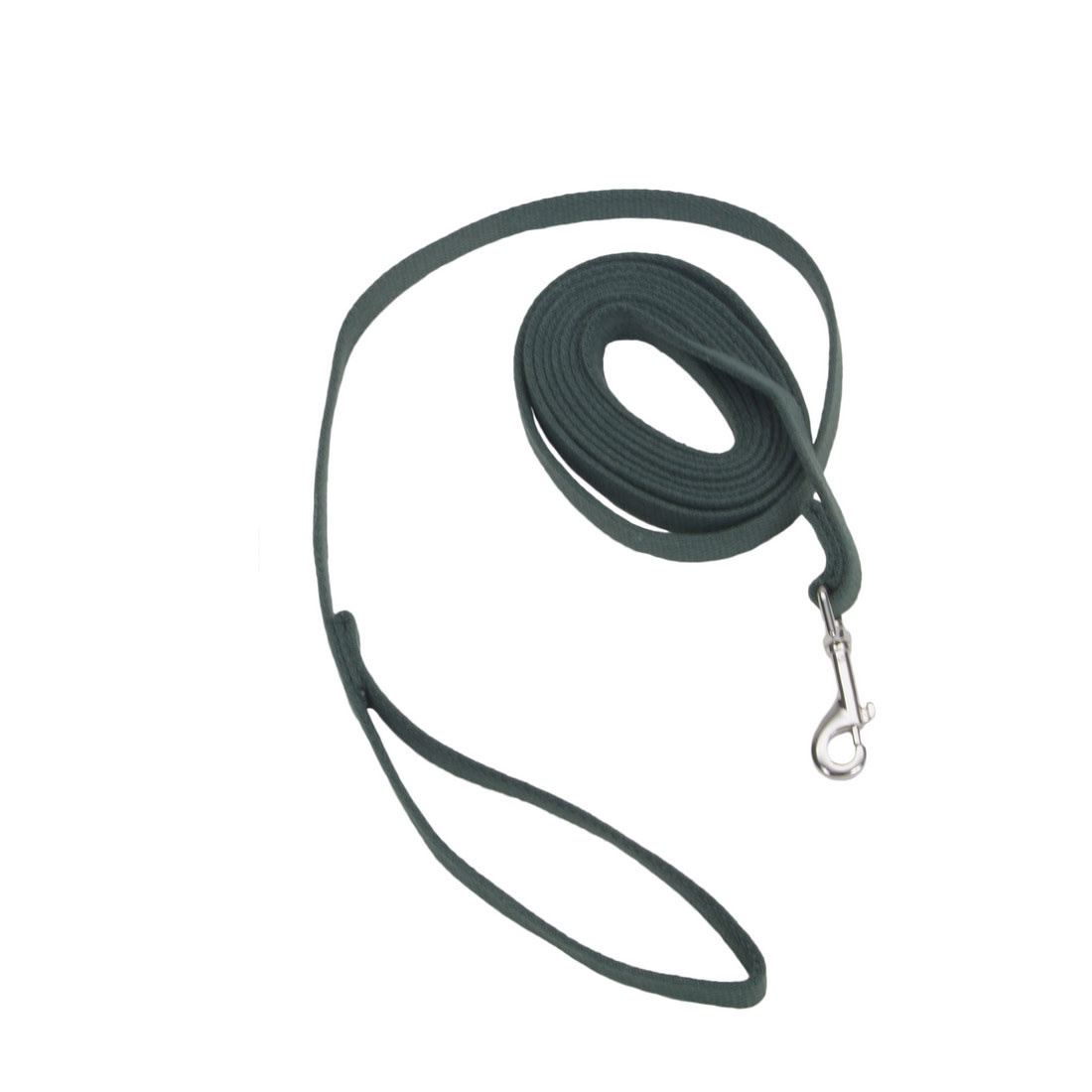 Coastal Pet Train Right Cotton Web Training Leash 20ft Green 5/8"  00520