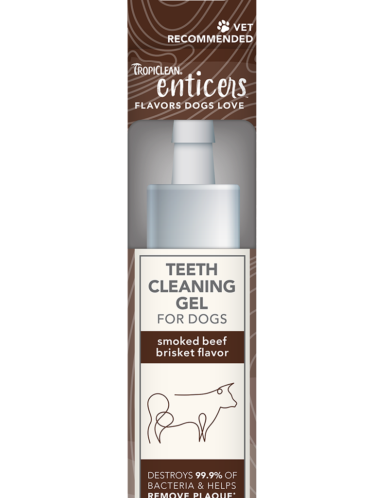 Tropiclean TropiClean Enticers Teeth Cleaning Gel Smoked Beef Brisket Flavor 2fl oz.