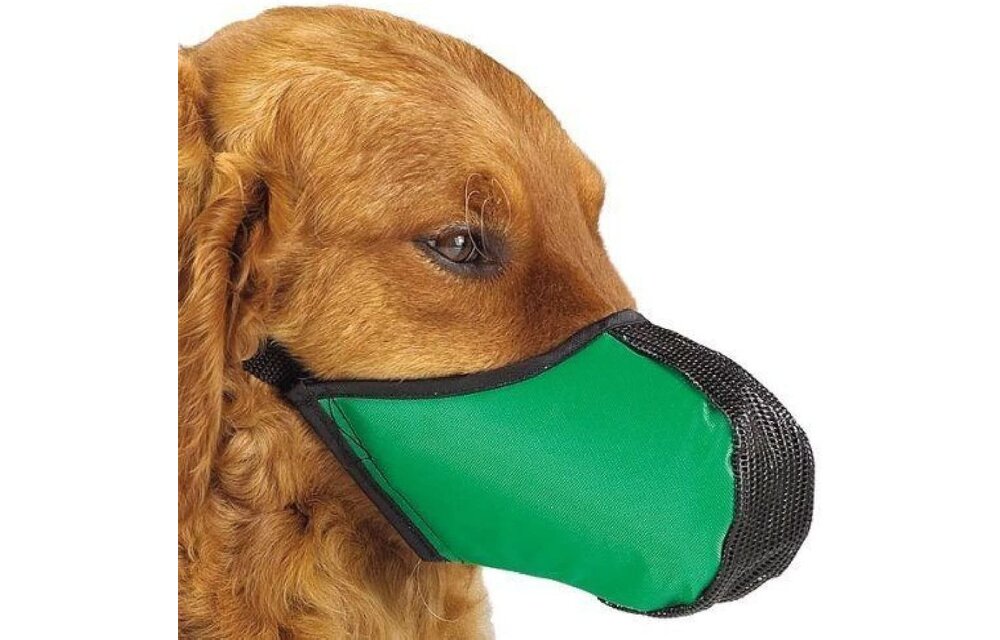 Proguard Softie Muzzle Size S (ASSORTED COLORS)