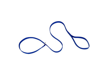 Coastal Single Ply Nylon Kennel Dog Leash  Blue 6'  00406K