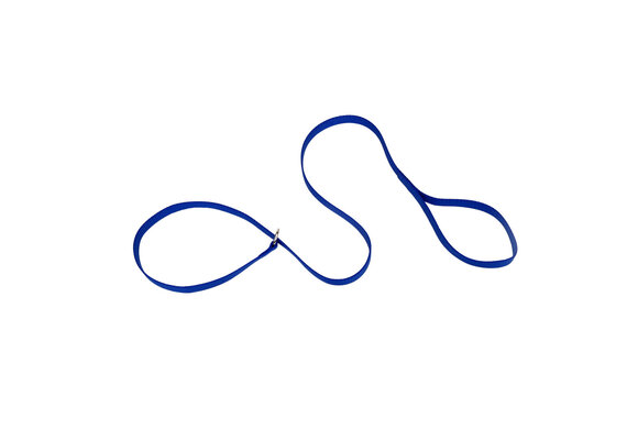 Coastal Single Ply Nylon Kennel Dog Leash  Blue 6'  00406K