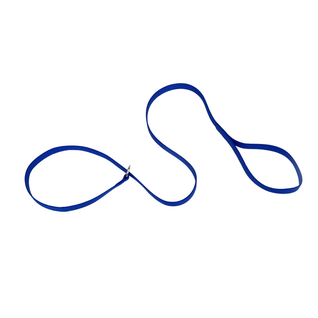 Coastal Single Ply Nylon Kennel Dog Leash  Blue 6'  00406K