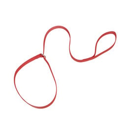 Coastal Pet Coastal Single Ply Nylon Kennel Dog Leash Red 6'  00406K