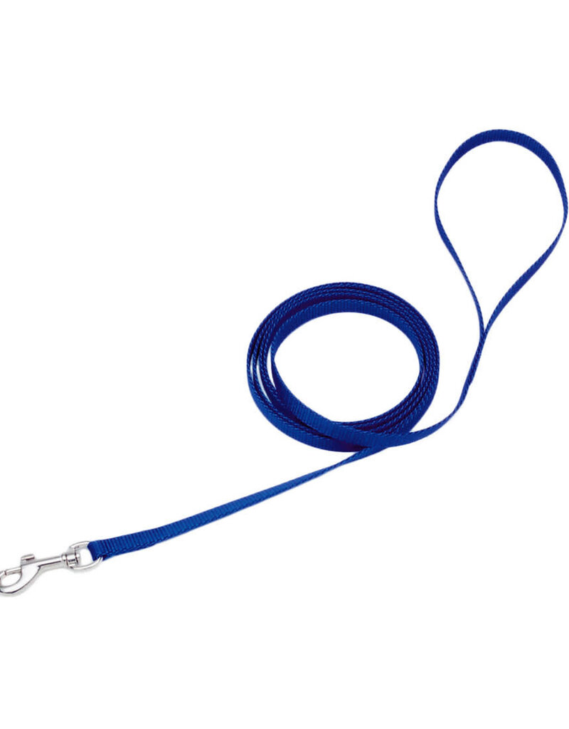 Coastal Pet Coastal Single Ply Nylon Leash Blue 6Ft  00306