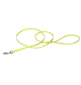 Coastal Pet Coastal Single Ply Nylon Leash Lime 6Ft  00306