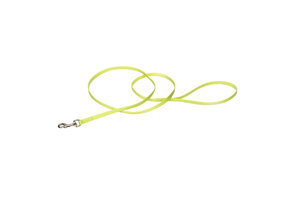 Coastal Single Ply Nylon Leash Lime 6Ft  00306