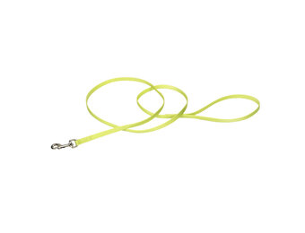 Coastal Single Ply Nylon Leash Lime 6Ft  00306