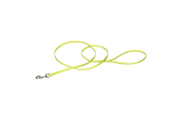 Coastal Single Ply Nylon Leash Lime 6Ft  00306