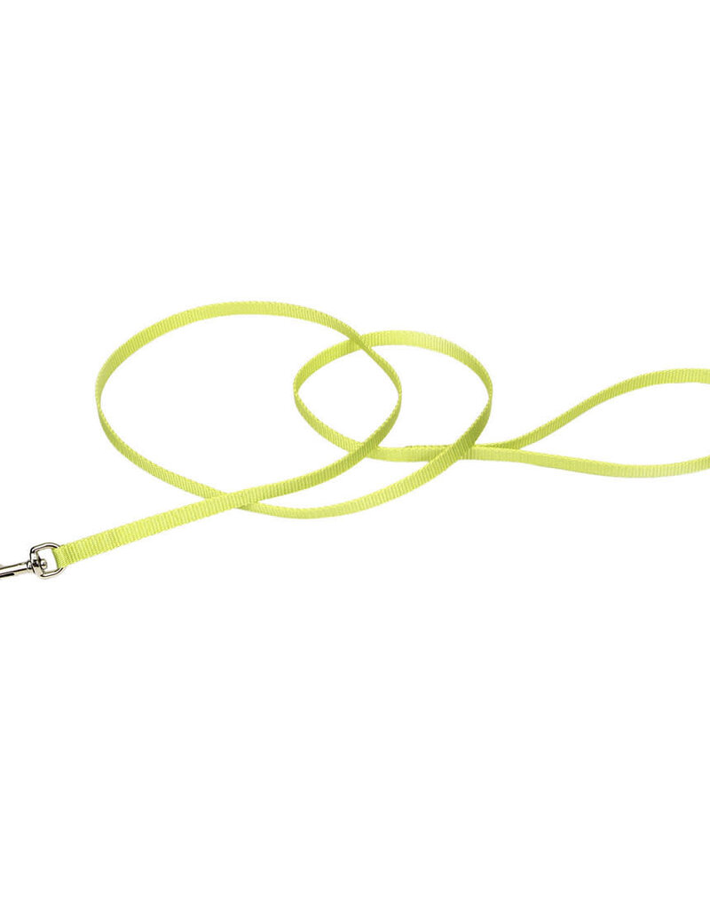 Coastal Pet Coastal Single Ply Nylon Leash Lime 6Ft  00306