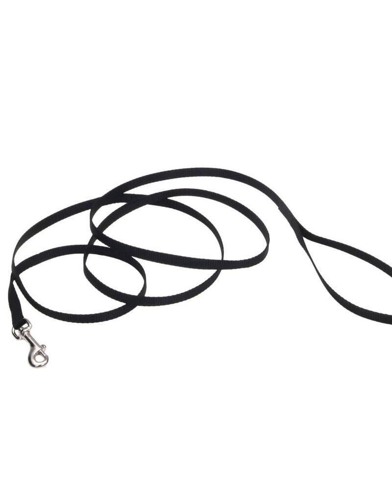 Coastal Pet Coastal Single Ply Nylon Leash Black 6Ft  00306