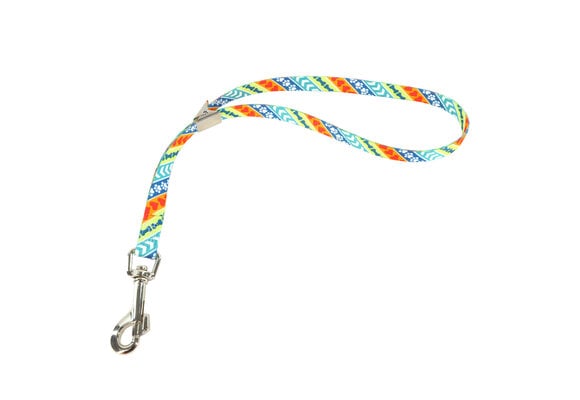 Coastal Pet Products Groom Dog Loop 5/8 24-Inch 06418