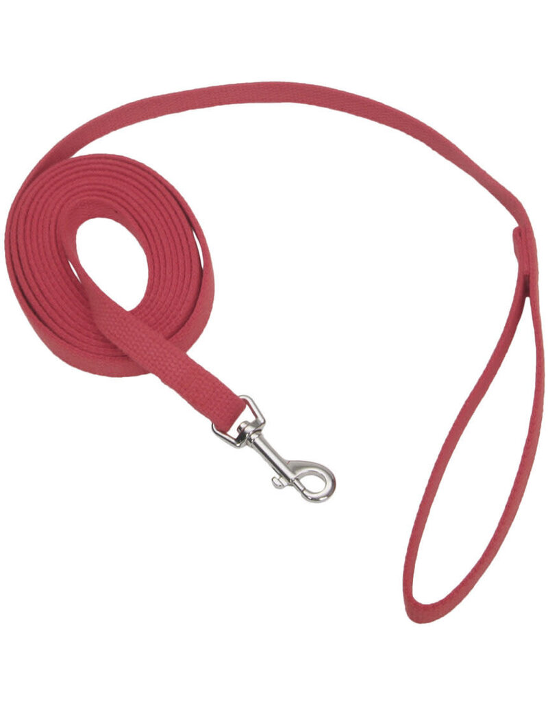 Coastal Pet Coastal Pet Products Train Right! Training Leash Red 6 Foot 00506