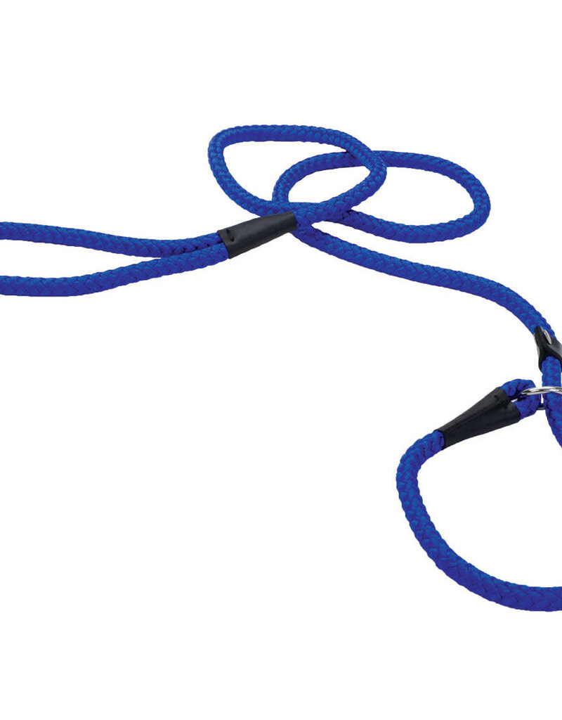 Coastal Pet Coastal Blue Slip Rope Leash 6 Ft 00202