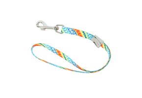 Coastal Styles 3/8 18 Inch Adjustable Grooming Loop with Bolt Snap 06318