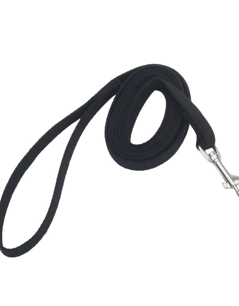 Coastal Pet Coastal Train Right! Cotton Web Dog Training Leash 6 ft 00506