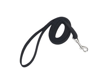 Coastal Train Right Cotton Web Training Leash 20 ft
