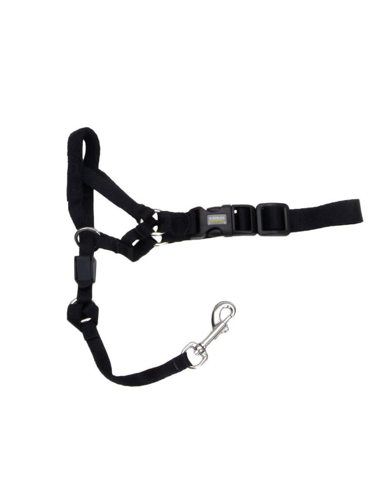 Coastal Pet Coastal Walk'n Train Head Halter X-Large