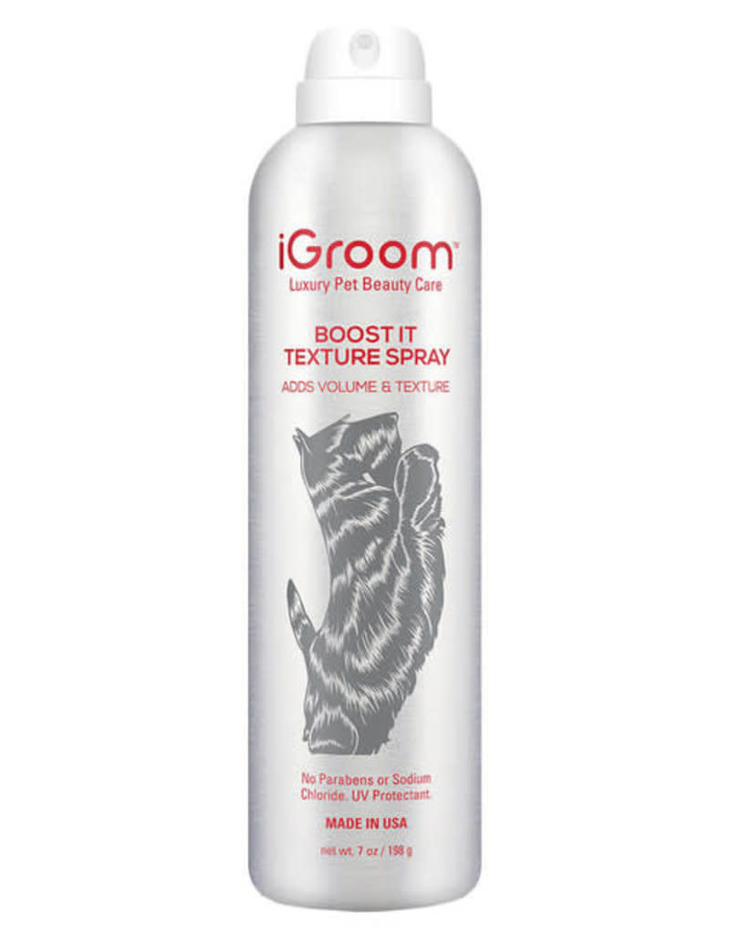 iGroom Boost It Texturizing Aerosol Finishing Spray 7 oz