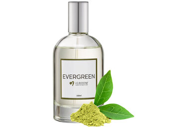 IGroom Perfume Evergreen 100 ml