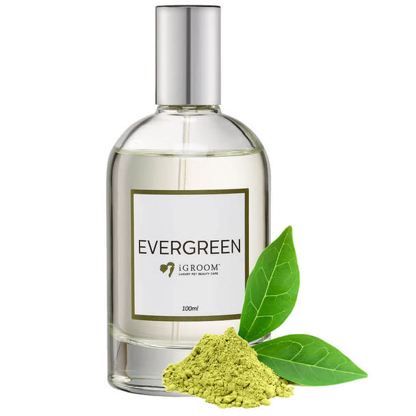 IGroom Perfume Evergreen 100 ml