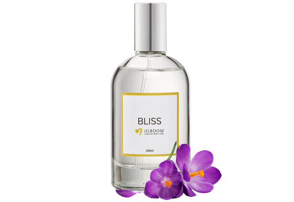IGroom Perfume Bliss 100 ml