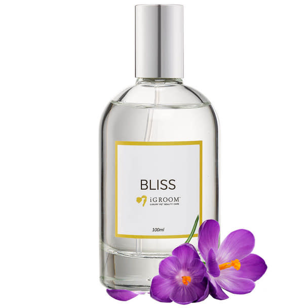 IGroom Perfume Bliss 100 ml