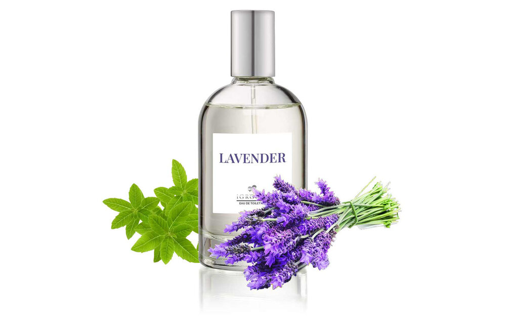IGroom Perfume Lavendar 100 ml